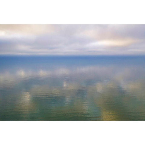 Italy-Riserva Naturale di Massaciuccoli San Rossore-protected coastal forest in Tuscany Black Modern Wood Framed Art Print with Double Matting by Molinari, Michele