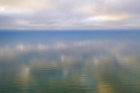 Italy-Riserva Naturale di Massaciuccoli San Rossore-protected coastal forest in Tuscany Black Ornate Wood Framed Art Print with Double Matting by Molinari, Michele