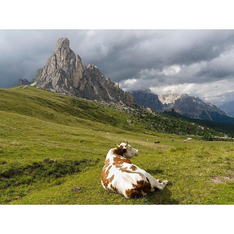 Dolomites at Passo Giau Ra Gusela and Tofane  Black Modern Wood Framed Art Print by Zwick, Martin