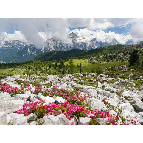 Croda da Lago in the Dolomites of the Veneto near Cortina dAmpezzo-view towards Sorapis  Black Modern Wood Framed Art Print by Zwick, Martin