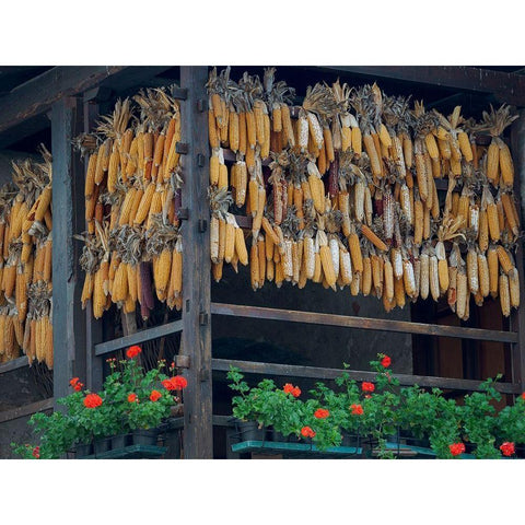 Molveno at lake Lago di Molveno in the Dolomiti di Brenta Dolomites White Modern Wood Framed Art Print by Zwick, Martin