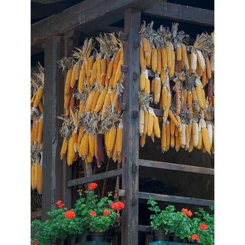 Molveno at lake Lago di Molveno in the Dolomiti di Brenta Dolomites Gold Ornate Wood Framed Art Print with Double Matting by Zwick, Martin