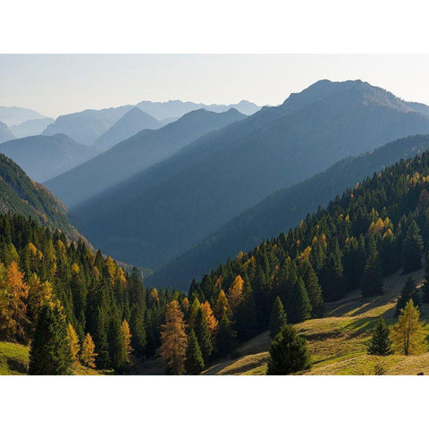 Val dAlgone Dolomiti di Brenta  Italy-Trentino White Modern Wood Framed Art Print by Zwick, Martin