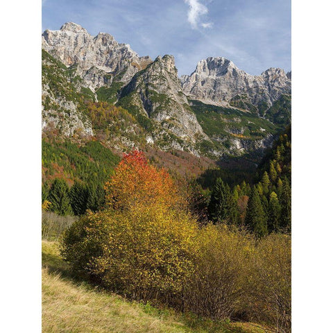 Peaks of Dolomiti di Brenta high above Val dAlgone Dolomiti di Brenta  Italy-Trentino Black Modern Wood Framed Art Print by Zwick, Martin