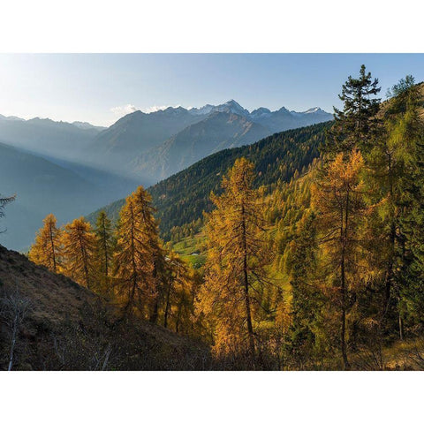 Peaks of Presanella mountain range above Val Rendena-seen from Brenta mountain range Italy Black Modern Wood Framed Art Print by Zwick, Martin