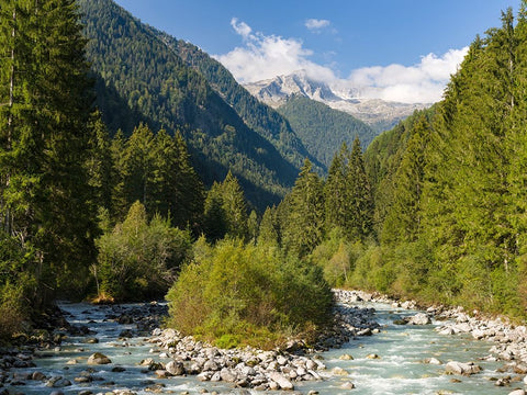 River Sarca-Val di Genova in the Parco Naturale Adamello-Brenta-Trentino-Italy-Val Rendena White Modern Wood Framed Art Print with Double Matting by Zwick, Martin