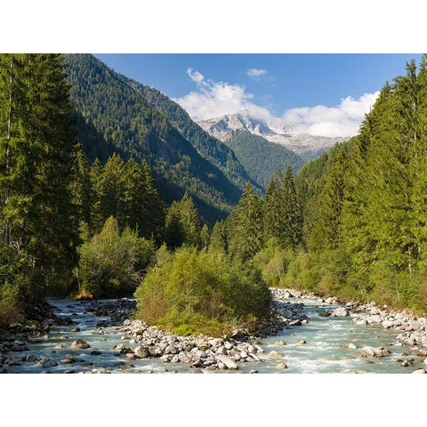 River Sarca-Val di Genova in the Parco Naturale Adamello-Brenta-Trentino-Italy-Val Rendena Black Modern Wood Framed Art Print by Zwick, Martin