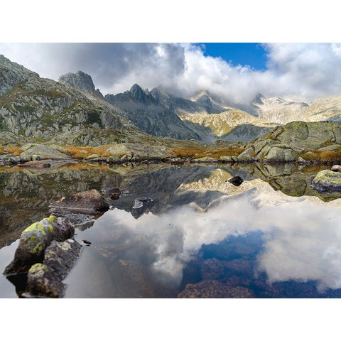 Lago Nero in the Presanella mountain range-Parco Naturale Adamello-Brenta-Trentino-Italy-Val Renden Black Modern Wood Framed Art Print by Zwick, Martin