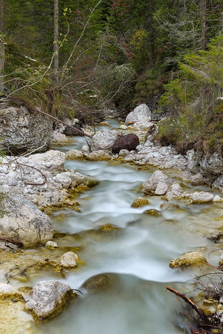 Tschamin Valley-Valle di Ciamin-in the Rosengarten-Catinaccio mountain range-The dolomites are list Black Ornate Wood Framed Art Print with Double Matting by Zwick, Martin