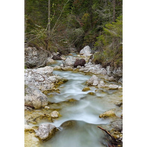 Tschamin Valley-Valle di Ciamin-in the Rosengarten-Catinaccio mountain range-The dolomites are list Black Modern Wood Framed Art Print by Zwick, Martin