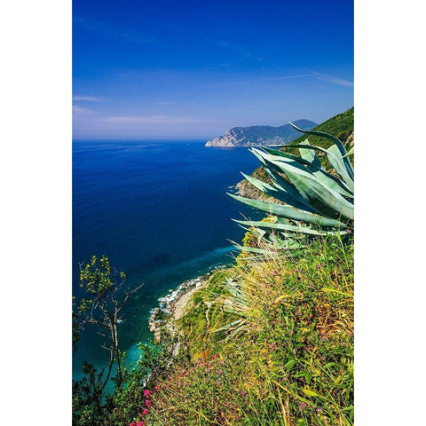 The Ligurian Sea from the Sentiero Azzurro (Blue Trail) near Vernazza-Cinque Terre-Liguria-Italy Black Modern Wood Framed Art Print by Bishop, Russ