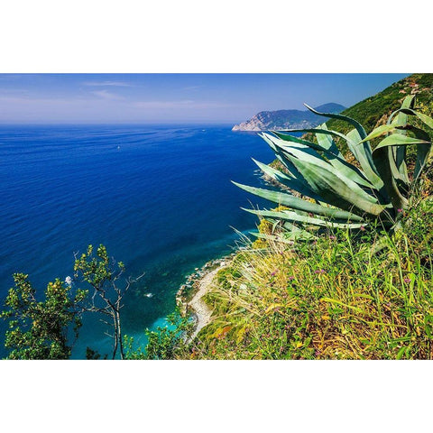The Ligurian Sea from the Sentiero Azzurro (Blue Trail) near Vernazza-Cinque Terre-Liguria-Italy Black Modern Wood Framed Art Print by Bishop, Russ