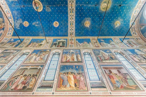 Italy-Padua-Scrovegni Chapel Ceiling with frescoes painted by Giotto in the 14th century White Modern Wood Framed Art Print with Double Matting by Tilley, Rob