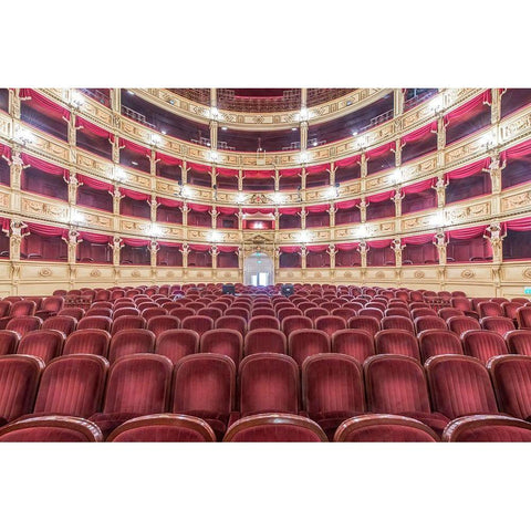 Italy-Trieste-Teatro Verdi Interior Black Modern Wood Framed Art Print by Tilley, Rob