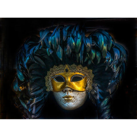 Black feathers Venetian mask-Venice-Italy-Used since the 1200s for Carnival-masks allowed the Venet White Modern Wood Framed Art Print by Perry, William
