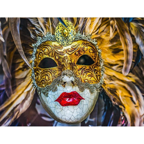 White golden Venetian mask feathers-Venice-Italy-Used since 1200s for Carnival-Also used for Mardi  Black Modern Wood Framed Art Print by Perry, William