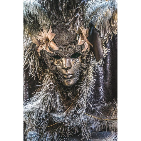 Silver Venetian mask feathers-Venice-Italy-Used since 1200s for Carnival-Also used for Mardi Gras Black Modern Wood Framed Art Print by Perry, William