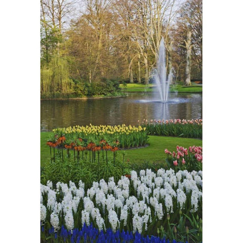 Netherlands, Lisse Garden scenic with a fountain White Modern Wood Framed Art Print by Flaherty, Dennis