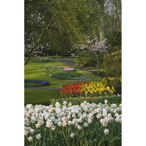 Netherlands, Lisse Manicured garden beds Gold Ornate Wood Framed Art Print with Double Matting by Flaherty, Dennis