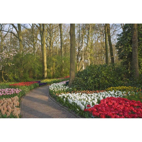 Netherlands, Lisse Path through garden flowers Gold Ornate Wood Framed Art Print with Double Matting by Flaherty, Dennis