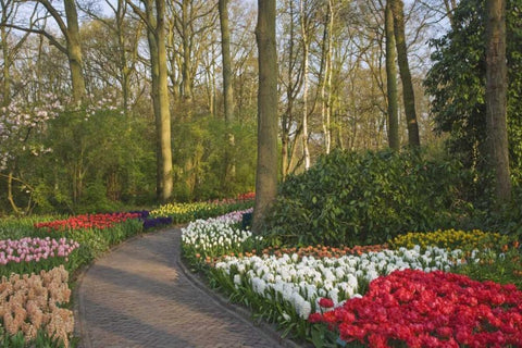 Netherlands, Lisse Path through garden flowers Black Ornate Wood Framed Art Print with Double Matting by Flaherty, Dennis