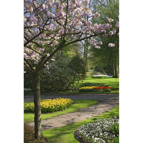 Netherlands, Lisse Garden park in Spring White Modern Wood Framed Art Print by Flaherty, Dennis