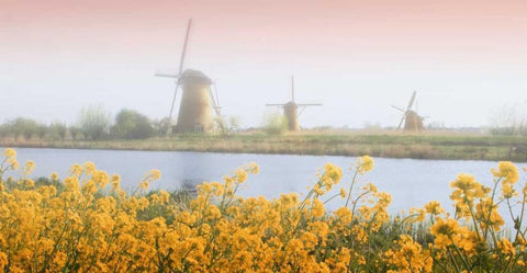 Netherlands, Kinderdijk Windmills next to stream Black Ornate Wood Framed Art Print with Double Matting by Flaherty, Dennis