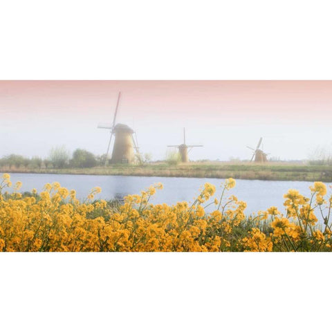 Netherlands, Kinderdijk Windmills next to stream White Modern Wood Framed Art Print by Flaherty, Dennis