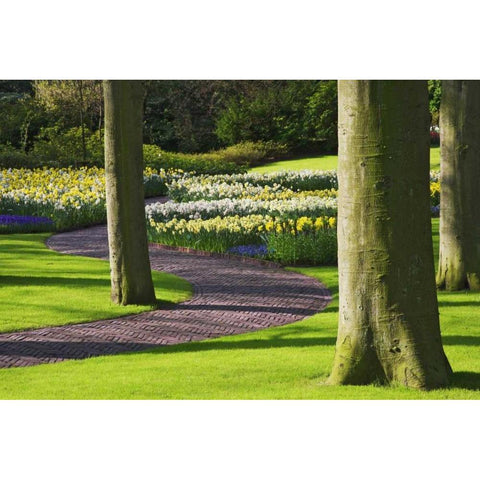 Holland, Lisse Curving path through a gardens White Modern Wood Framed Art Print by Flaherty, Dennis