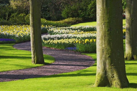 Holland, Lisse Curving path through a gardens White Modern Wood Framed Art Print with Double Matting by Flaherty, Dennis