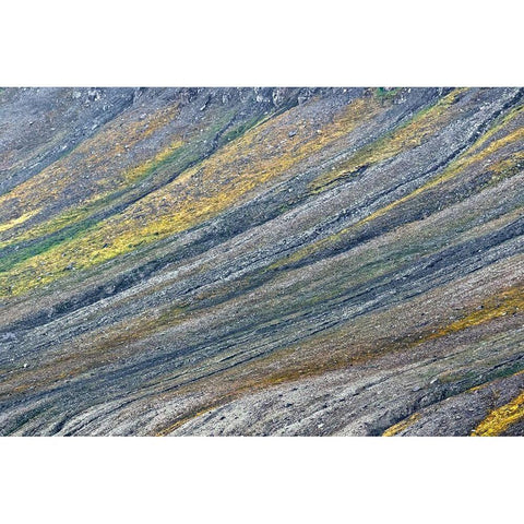 Pattern on mountain slope-Svalbard-Norway Gold Ornate Wood Framed Art Print with Double Matting by Jones, Adam