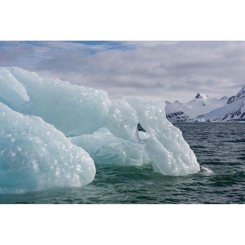Norway-Svalbard-Spitsbergen-Hornsund Black Modern Wood Framed Art Print with Double Matting by Hopkins, Cindy Miller