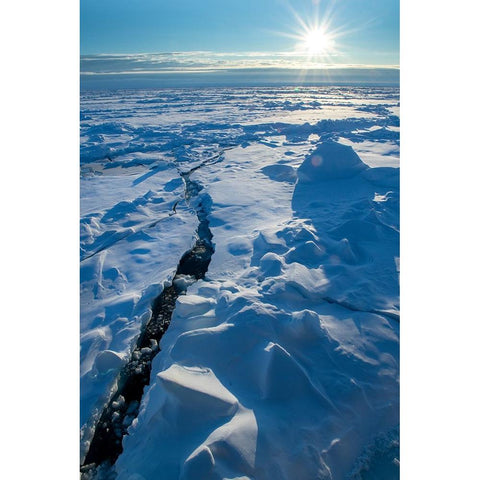 Norway Icescape at 84 degrees north-crack in ice with sunburst Gold Ornate Wood Framed Art Print with Double Matting by Hopkins, Cindy Miller