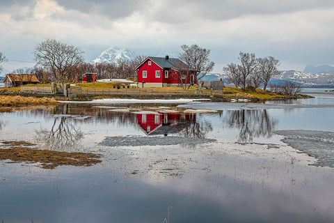Norway- Lofoten Islands. View across Indrepollen Lake. White Modern Wood Framed Art Print with Double Matting by Looney, Hollice