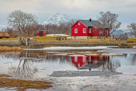 Norway- Lofoten Islands. View across Indrepollen Lake. Black Ornate Wood Framed Art Print with Double Matting by Looney, Hollice