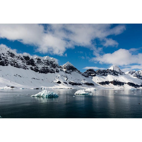 A view of the mountain peaks of Burgerbukta Black Modern Wood Framed Art Print with Double Matting by Pitamitz, Sergio