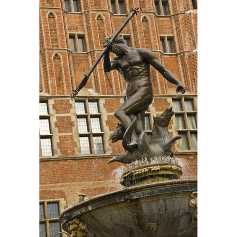 Poland Neptune Fountain in front of Artus Court Black Modern Wood Framed Art Print with Double Matting by Ross, Nancy ,  Steve