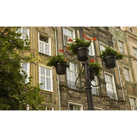 Poland, Gdansk Flower pots decorate buildings Gold Ornate Wood Framed Art Print with Double Matting by Ross, Nancy ,  Steve