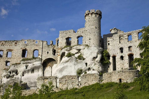 Poland Close-up of Ogrodzieniec Castle Black Ornate Wood Framed Art Print with Double Matting by Zuckerman, Jim