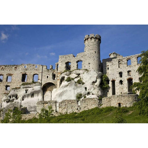 Poland Close-up of Ogrodzieniec Castle Black Modern Wood Framed Art Print by Zuckerman, Jim