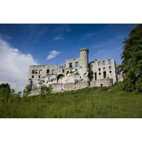 Poland View of Ogrodzieniec Castle White Modern Wood Framed Art Print by Zuckerman, Jim