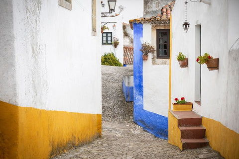 Europe-Portugal-Obidos-Houses on cobblestone street White Modern Wood Framed Art Print with Double Matting by Jaynes Gallery
