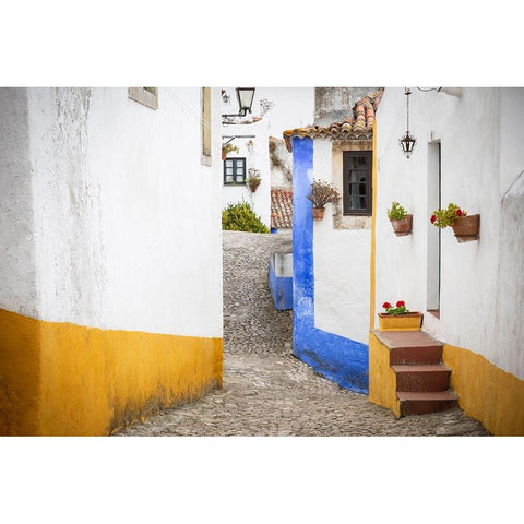 Europe-Portugal-Obidos-Houses on cobblestone street Black Modern Wood Framed Art Print by Jaynes Gallery