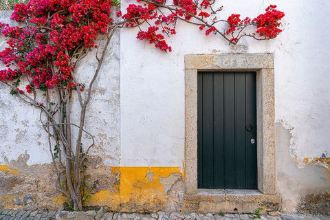 Europe-Portugal-Obidos-Bougainvillea plant on house wall White Modern Wood Framed Art Print with Double Matting by Jaynes Gallery
