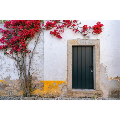 Europe-Portugal-Obidos-Bougainvillea plant on house wall White Modern Wood Framed Art Print by Jaynes Gallery