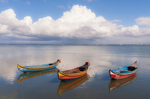 Europe-Portugal-Aveiro Lagoon-Traditional fishing boats moored in water White Modern Wood Framed Art Print with Double Matting by Jaynes Gallery