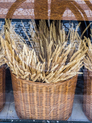 Portugal-Lisbon-Dried wheat stalks in the window of a bakery Black Ornate Wood Framed Art Print with Double Matting by Eggers, Julie