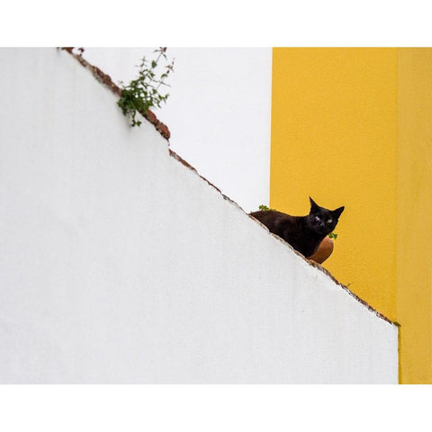 Portugal-Obidos-Black cat sitting on stairs Gold Ornate Wood Framed Art Print with Double Matting by Eggers, Julie