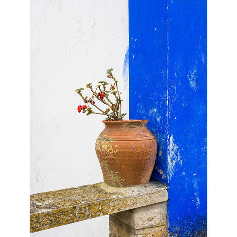 Portugal-Obidos-Plant in a terracotta pot on stone bench Black Modern Wood Framed Art Print by Eggers, Julie