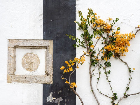 Portugal-Obidos-Orange bougainvillea growing against a wall and carved sculpture on wall White Modern Wood Framed Art Print with Double Matting by Eggers, Julie